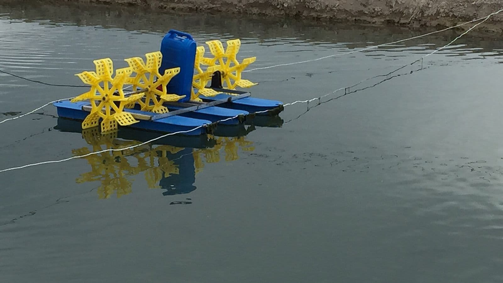 Aerador de pás amarelas sobre flutuadores azuis em um viveiro escavado de piscicultura