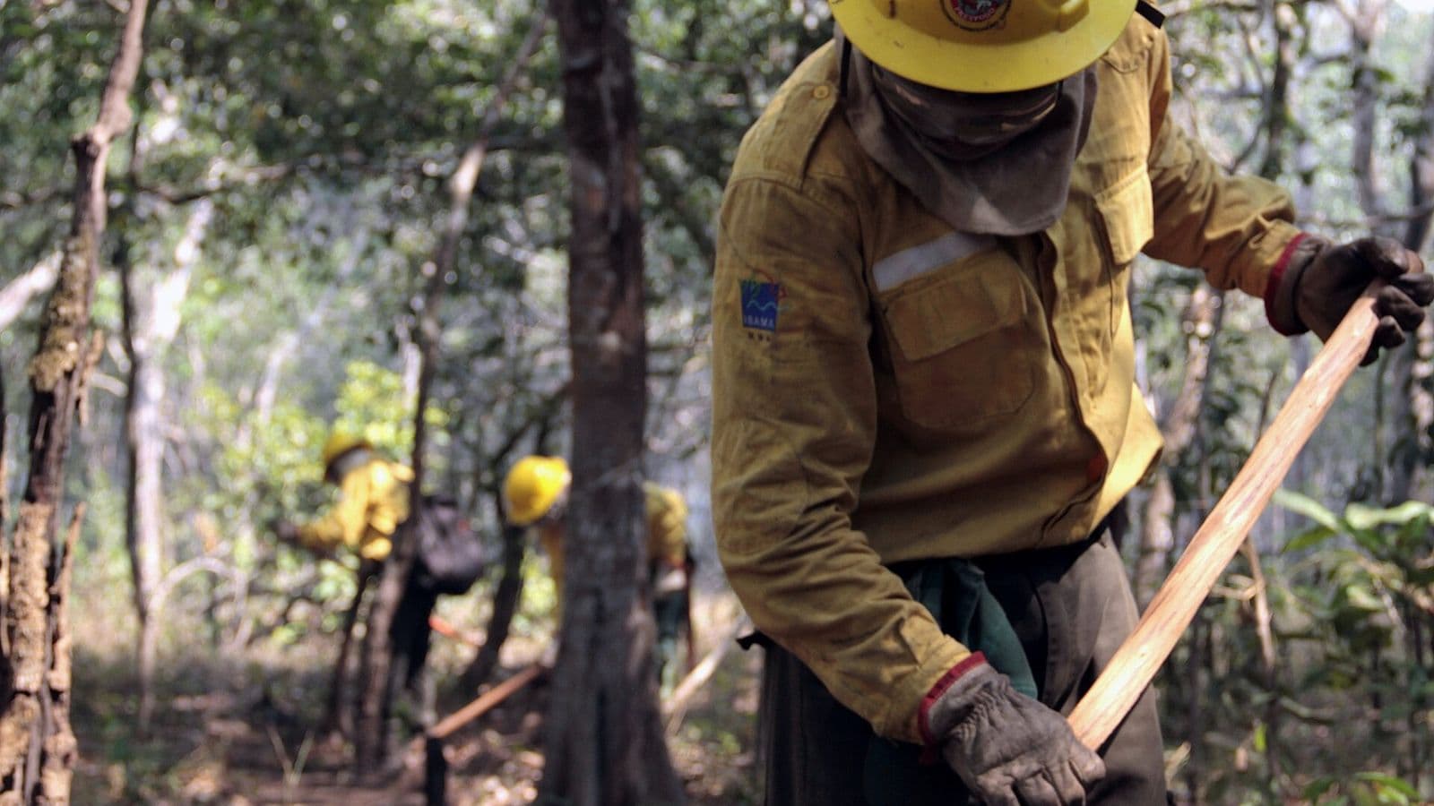 Brigadista de capacete amarelo e uniforme do Ibama usa ferramenta para abrir aceiro no chão da mata, com outros brigadistas ao fundo