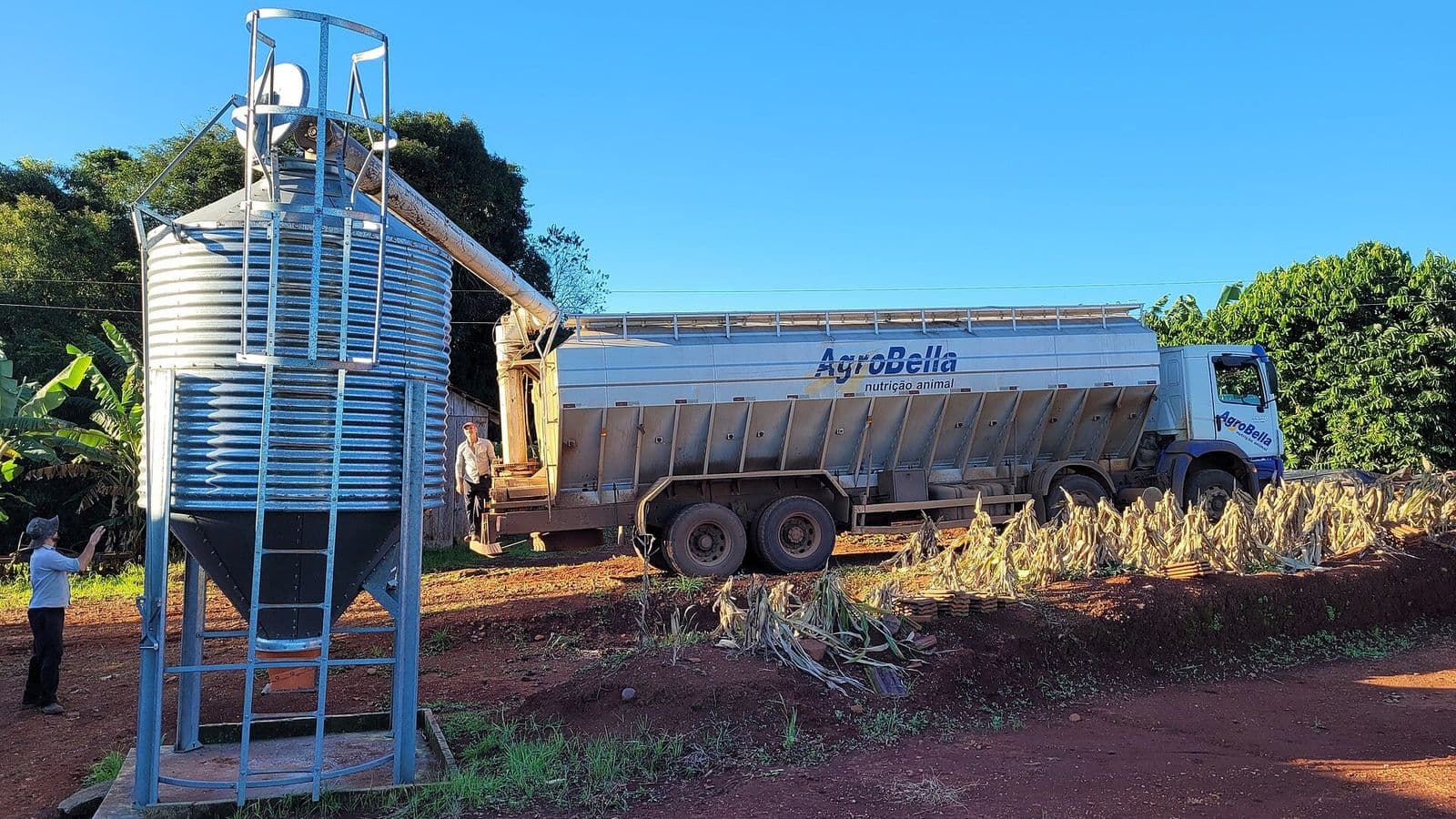 Caminhão graneleiro descarregando ração em um silo metálico vertical