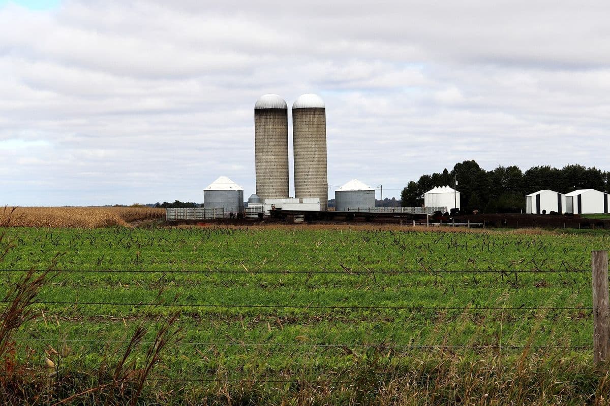 Lavoura em primeiro plano e silos e galpões de uma fazenda ao fundo