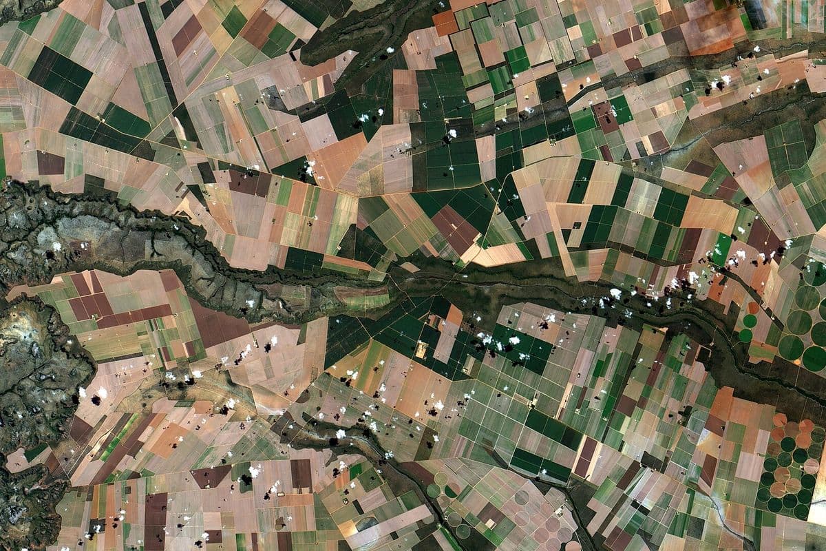 Imagem de satélite de área agrícola com talhões e círculos de pivôs centrais