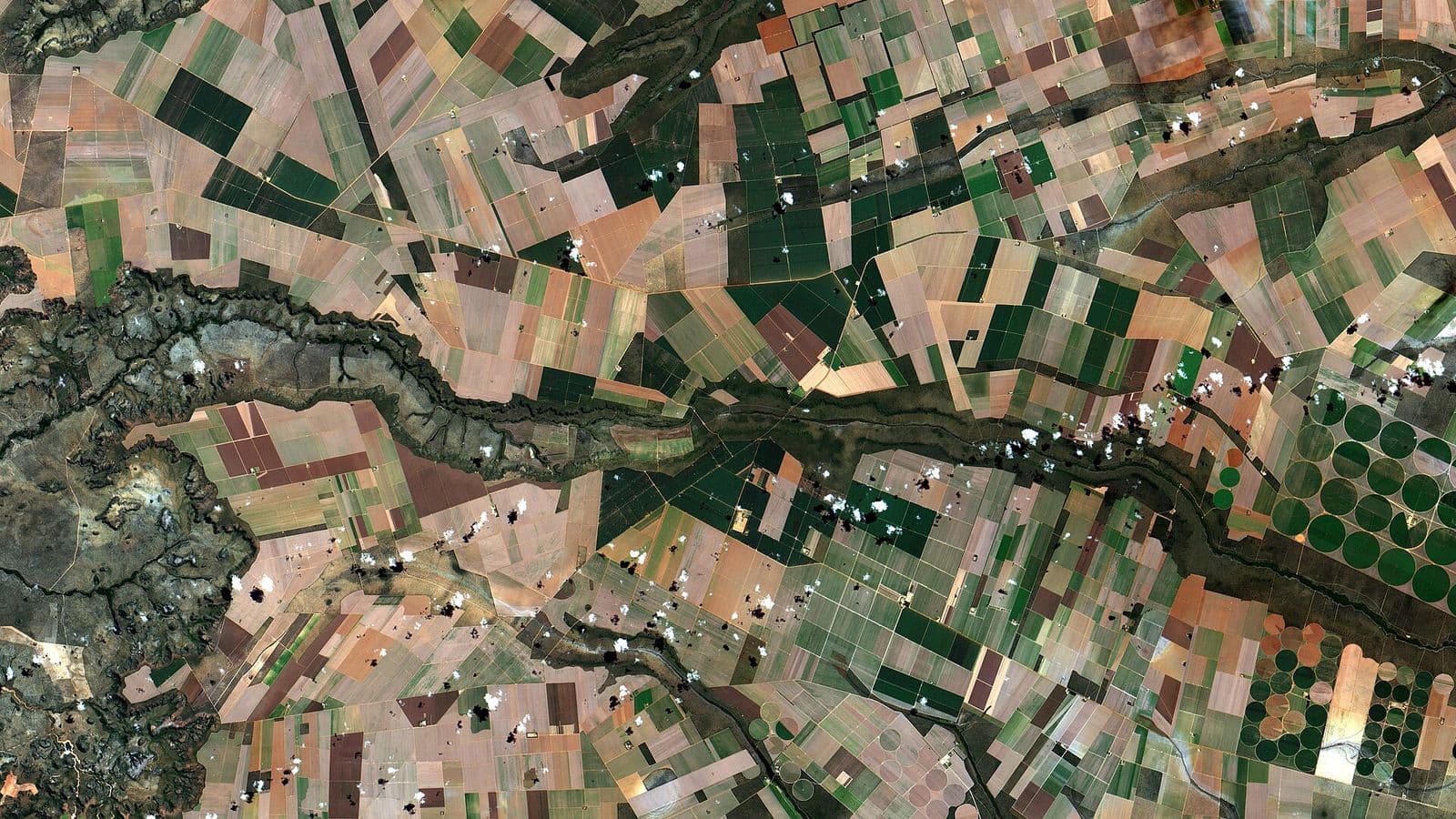 Imagem de satélite de área agrícola com talhões e círculos de pivôs centrais